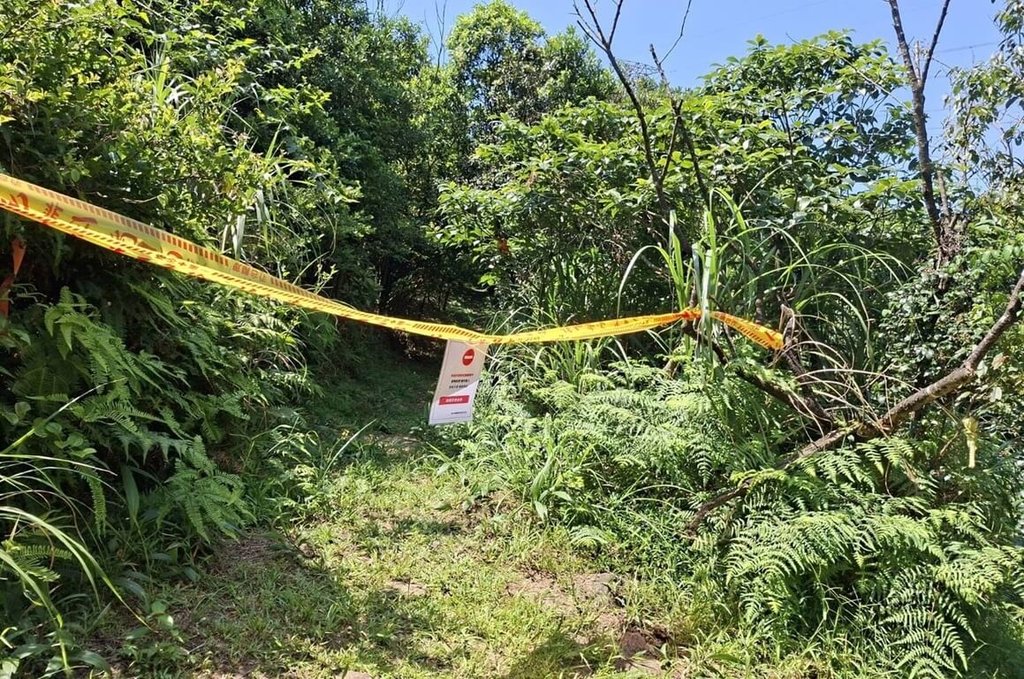 虎頭蜂攻擊頻傳 瑞芳暫封閉三貂嶺等3步道