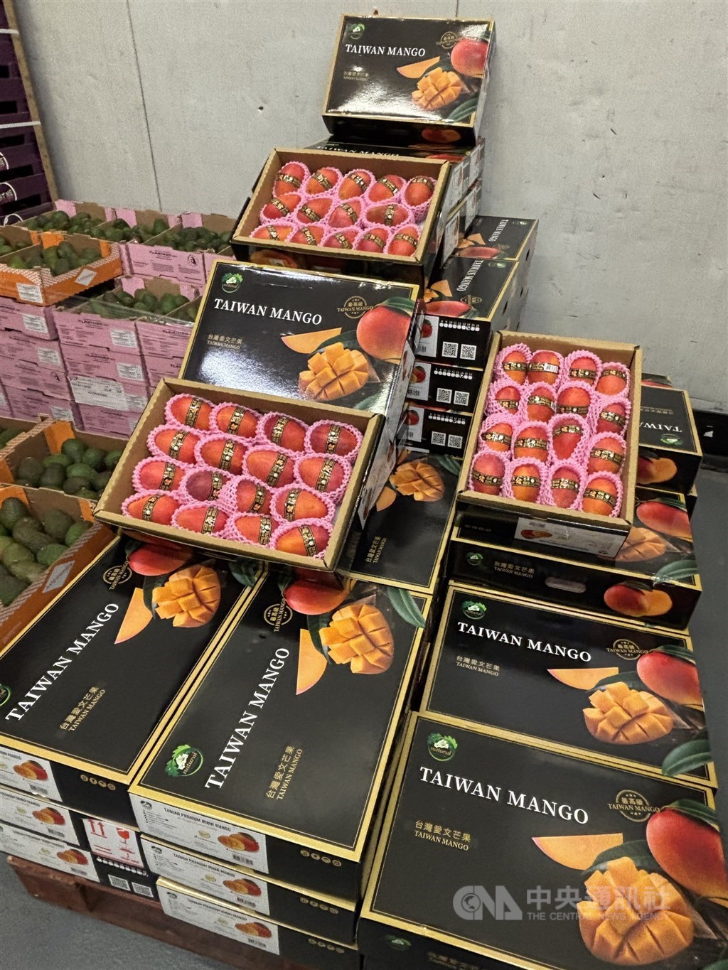 芒果外銷法國受好評 農業部：德荷義都來洽詢訂單