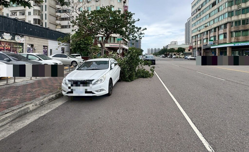 颱風巴威來襲 台中路樹砸車、3民眾觀浪遭警勸離