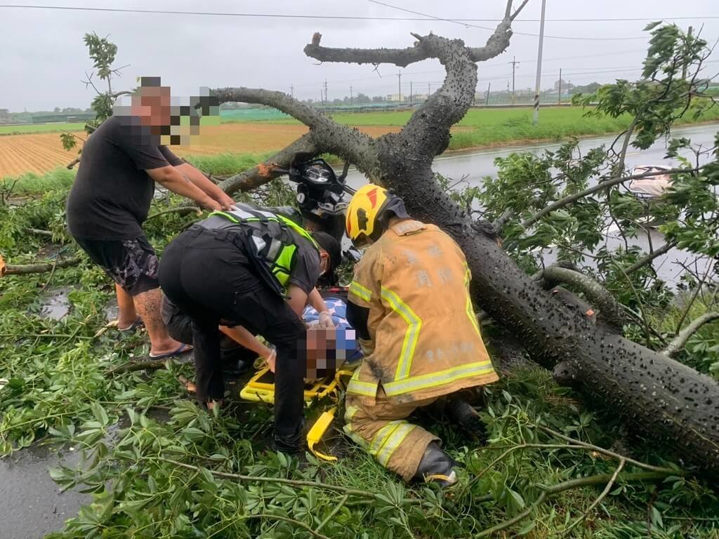雲林路樹清晨突倒塌 婦人騎機車經過被壓住送醫