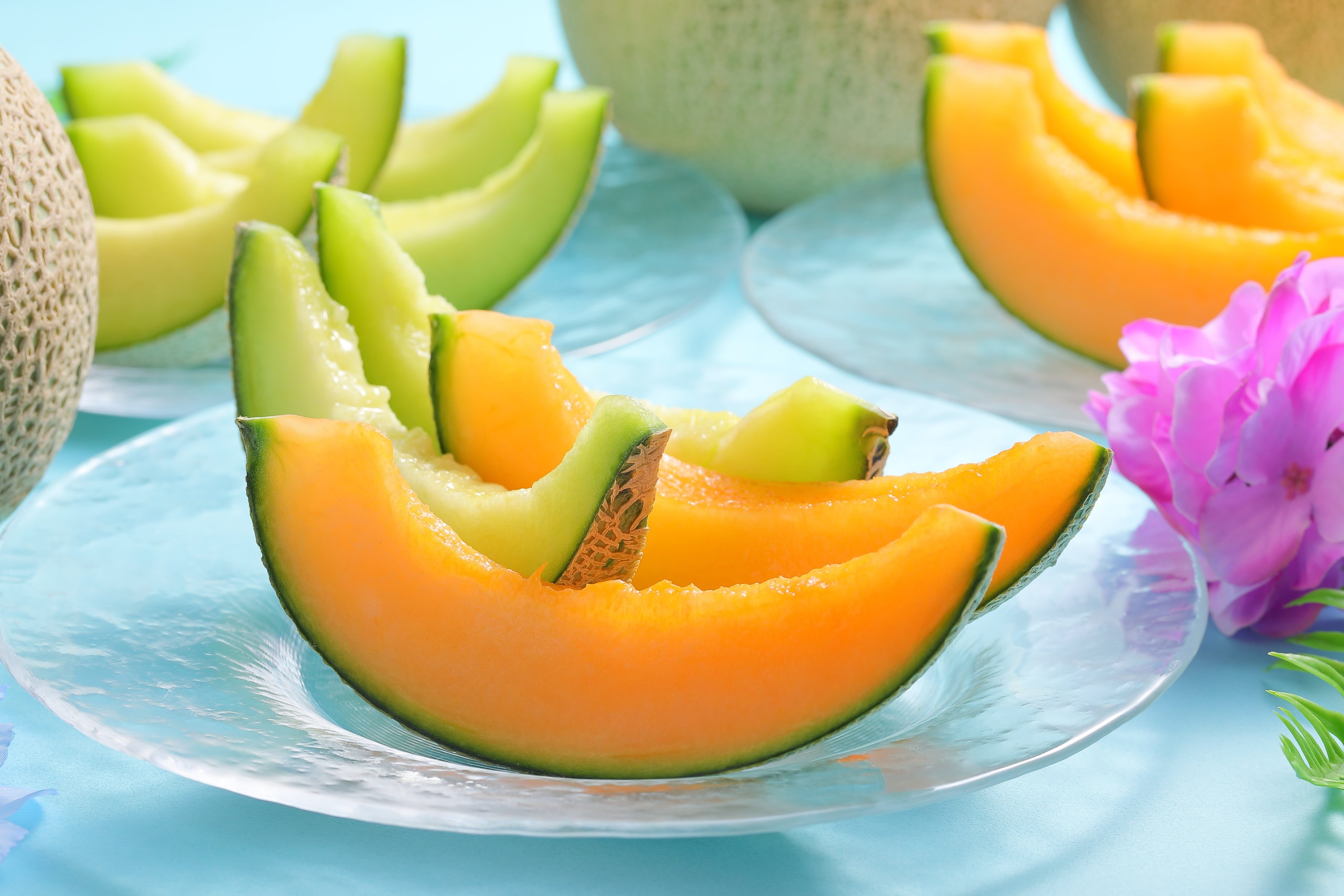 Hotel Gracery Sapporo Presents 'Sweet Temptation: Melon & Sweets' Summer Lunch Buffet from July 18 (Sat) to July 26 (Sun), 2026