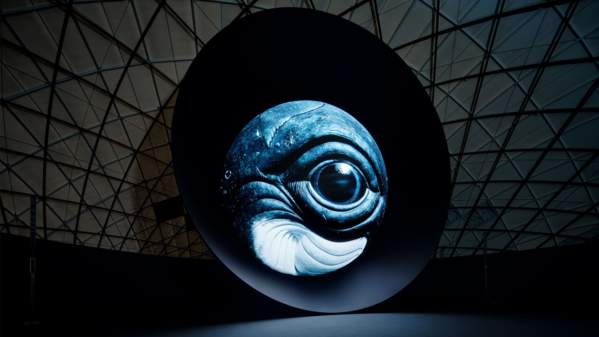 大阪關西世博會吸引逾112萬人次體驗的沉浸式作品《BLUE OCEAN DOME》將於日本科學未來館特別上映