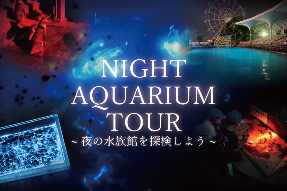 【南知多ビーチランド】懐中電灯を片手に夜の水族館へ！飼育員と巡る「ナイトアクアリウムツアー」開催＜愛知＞
