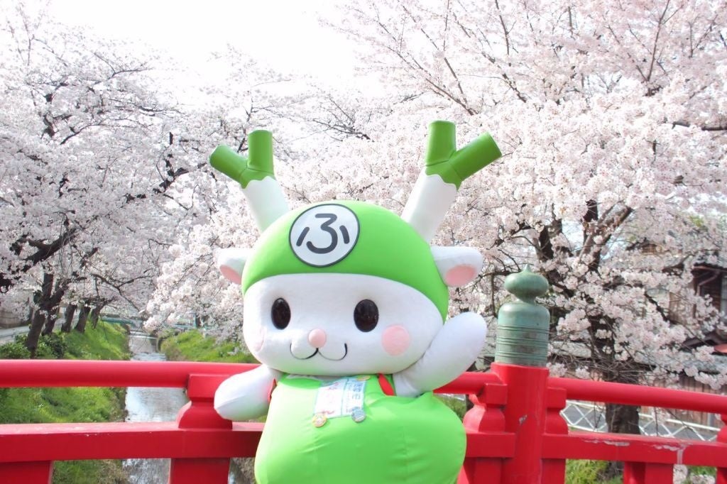 【埼玉県深谷市】満開の桜をもう一度！～渋沢栄一のふるさと深谷～「深谷の桜、復活プロジェクト」始動。