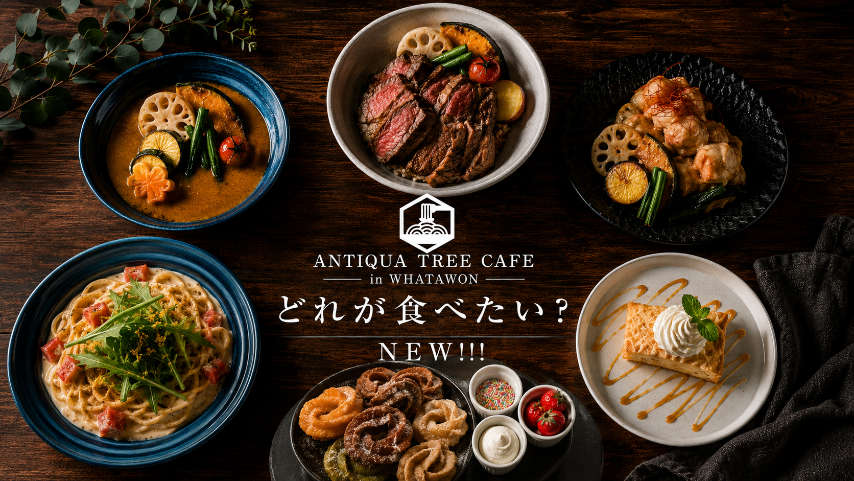 ファッションブランド「antiqua」が手掛けるライフスタイルカフェ『ANTIQUA TREE CAFE』がグランドメニューをリニューアル。食事も空間も、もっと楽しめるカフェへ。